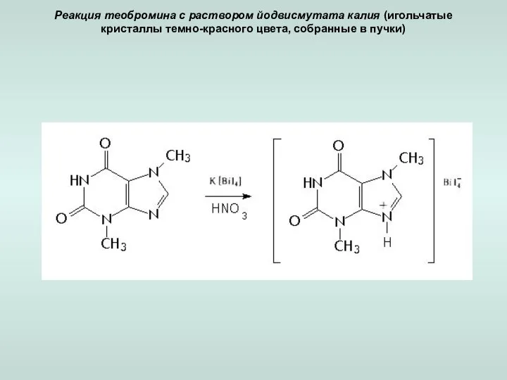 Реакция теобромина с раствором йодвисмутата калия (игольчатые кристаллы темно-красного цвета, собранные в пучки)