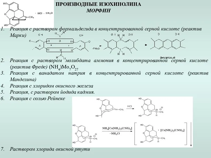 ПРОИЗВОДНЫЕ ИЗОХИНОЛИНА МОРФИН Реакция с раствором формальдегида в концентрированной серной кислоте