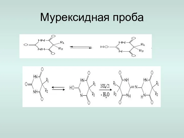 Мурексидная проба