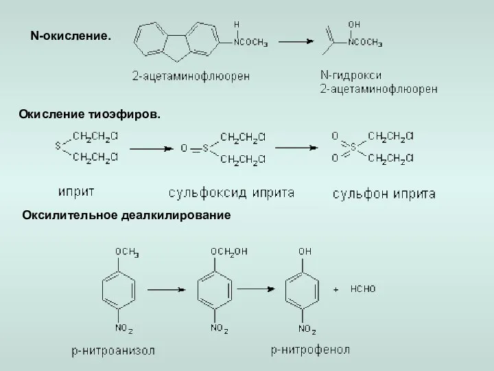 N-окисление. Оксилительное деалкилирование Окисление тиоэфиров.