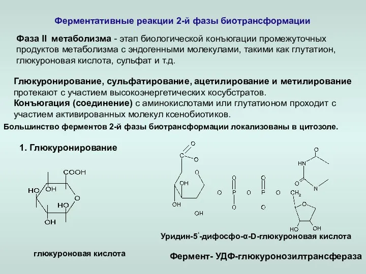 Ферментативные реакции 2-й фазы биотрансформации Фаза ll метаболизма - этап биологической