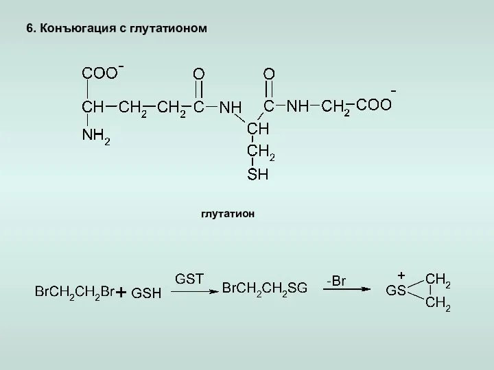 6. Конъюгация с глутатионом глутатион