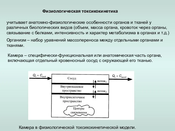 Физиологическая токсикокинетика Организм – набор уравнений массопереноса между отдельными органами и