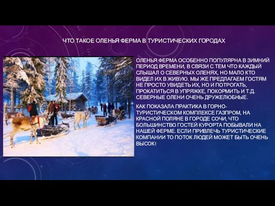 ЧТО ТАКОЕ ОЛЕНЬЯ ФЕРМА В ТУРИСТИЧЕСКИХ ГОРОДАХ ОЛЕНЬЯ ФЕРМА ОСОБЕННО ПОПУЛЯРНА