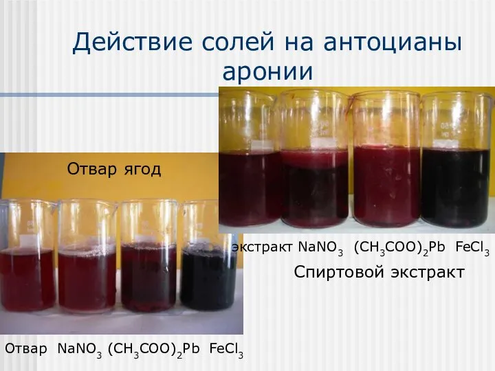 Действие солей на антоцианы аронии Отвар ягод Спиртовой экстракт экстракт NaNO3