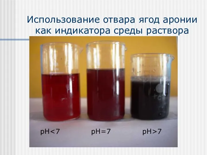 Использование отвара ягод аронии как индикатора среды раствора pH 7