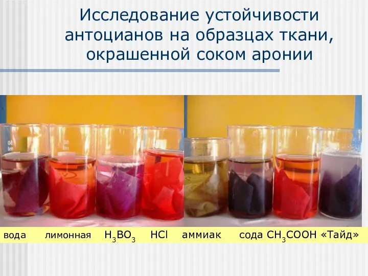 Исследование устойчивости антоцианов на образцах ткани, окрашенной соком аронии вода лимонная