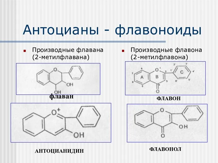 Антоцианы - флавоноиды Производные флавана (2-метилфлавана) Производные флавона (2-метилфлавона) флаван АНТОЦИАНИДИН ФЛАВОН ФЛАВОНОЛ