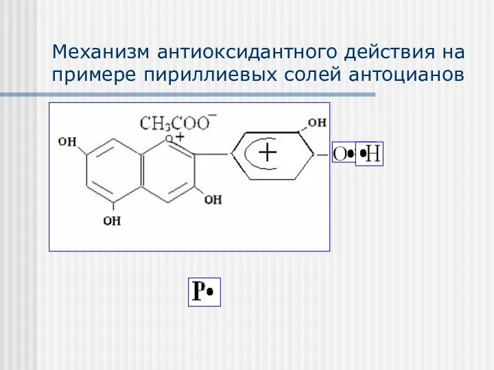 Механизм антиоксидантного действия на примере пириллиевых солей антоцианов