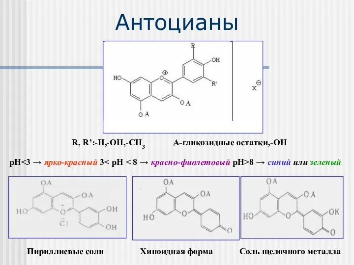 Антоцианы R, R’:-H,-OH,-CH3 A-гликозидные остатки,-OH рН 8 → синий или зеленый