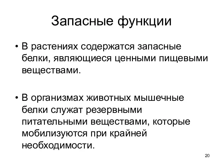 Запасные функции В растениях содержатся запасные белки, являющиеся ценными пищевыми веществами.