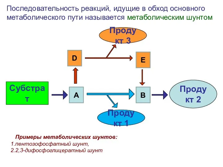 Субстрат Продукт 2 Последовательность реакций, идущие в обход основного метаболического пути