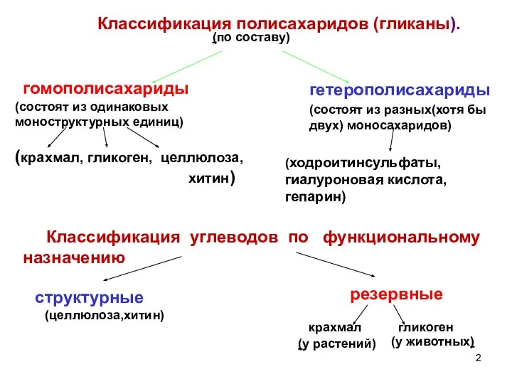 Классификация полисахаридов (гликаны). (по составу) гомополисахариды гетерополисахариды (состоят из одинаковых моноструктурных