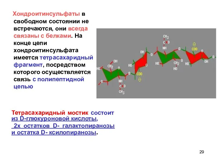 Хондроитинсульфаты в свободном состоянии не встречаются, они всегда связаны с белками.