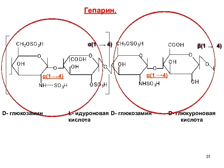 α(1 4) β(1 4) α(1 4) α(1 4) D- глюкозамин L-