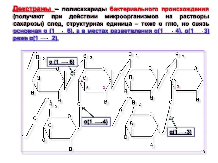 Декстраны – полисахариды бактериального происхождения (получают при действии микроорганизмов на растворы