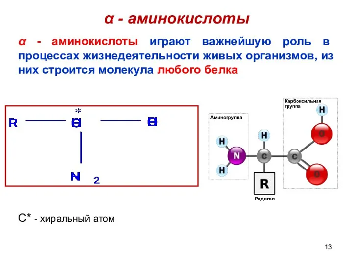 α - аминокислоты α - аминокислоты играют важнейшую роль в процессах