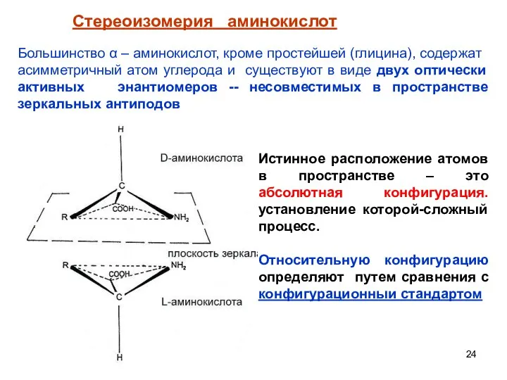 Стереоизомерия аминокислот Большинство α – аминокислот, кроме простейшей (глицина), содержат асимметричный