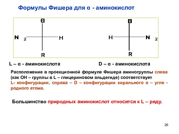 L – α - аминокислота D – α - аминокислота Большинство