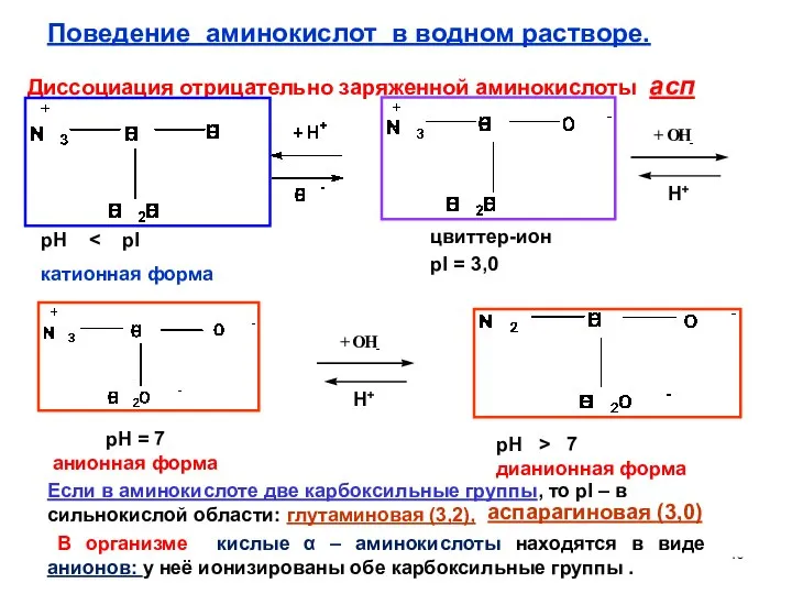 Диссоциация отрицательно заряженной аминокислоты асп цвиттер-ион pI = 3,0 pH =