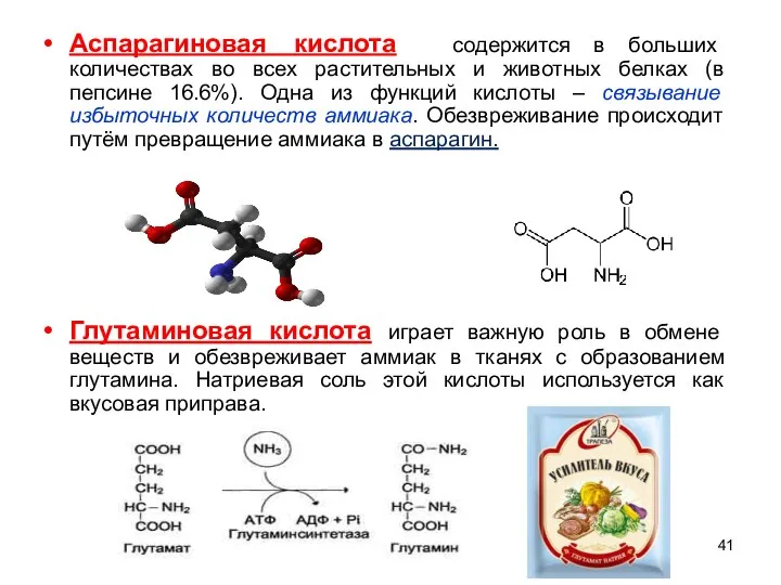 Аспарагиновая кислота содержится в больших количествах во всех растительных и животных