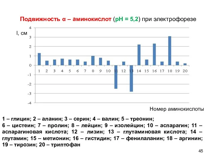 Подвижность α – аминокислот (рН = 5,2) при электрофорезе l, см