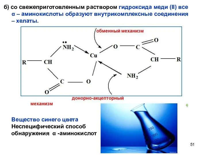 б) со свежеприготовленным раствором гидроксида меди (II) все α – аминокислоты