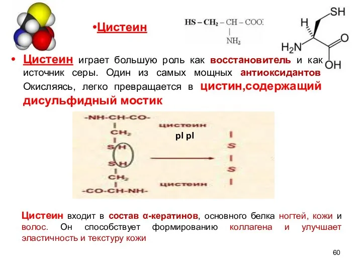 Цистеин играет большую роль как восстановитель и как источник серы. Один