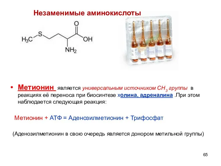 Незаменимые аминокислоты Метионин является универсальным источником СН3 группы в реакциях её