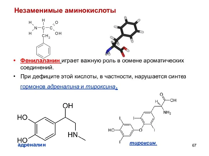 Фенилаланин играет важную роль в обмене ароматических соединений. При дефиците этой