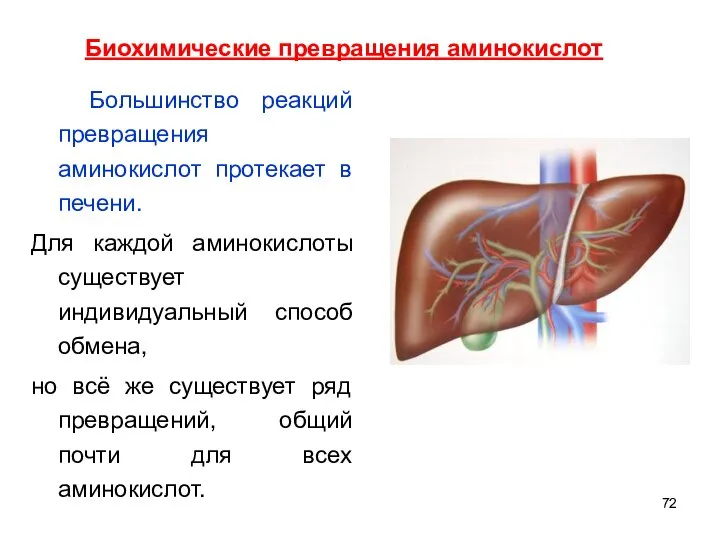 Большинство реакций превращения аминокислот протекает в печени. Для каждой аминокислоты существует