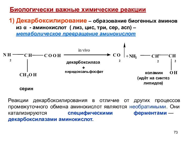 1) Декарбоксилирование – образование биогенных аминов из α - аминокислот (