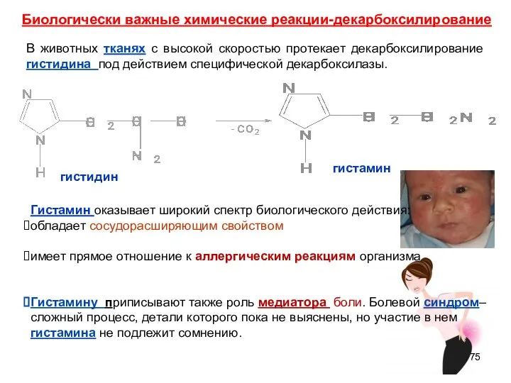 гистамин гистидин Биологически важные химические реакции-декарбоксилирование В животных тканях с высокой