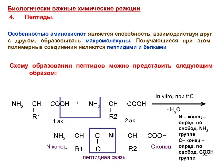 + in vitro, при t°C - H2O 1 ак 2 ак