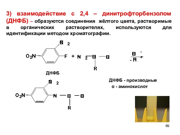 ДНФБ - 3) взаимодействие с 2,4 – динитрофторбензолом (ДНФБ) – образуются