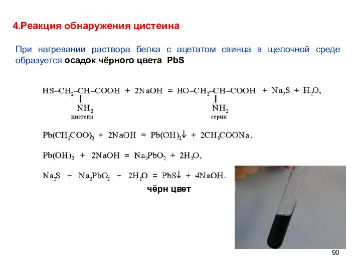 чёрн цвет 4.Реакция обнаружения цистеина При нагревании раствора белка с ацетатом