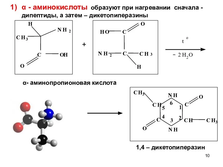 α - аминокислоты образуют при нагревании сначала - дипептиды, а затем