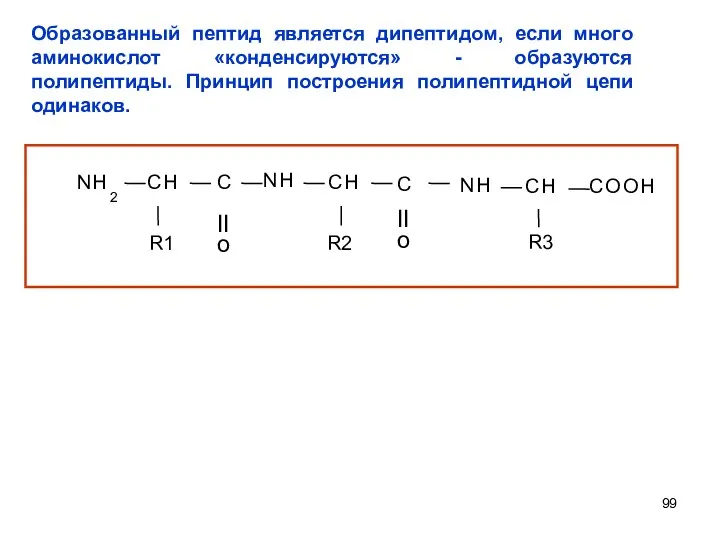 Образованный пептид является дипептидом, если много аминокислот «конденсируются» - образуются полипептиды. Принцип построения полипептидной цепи одинаков.