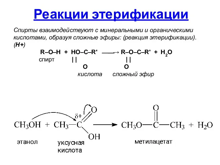Спирты взаимодействуют с минеральными и органическими кислотами, образуя сложные эфиры: (реакция