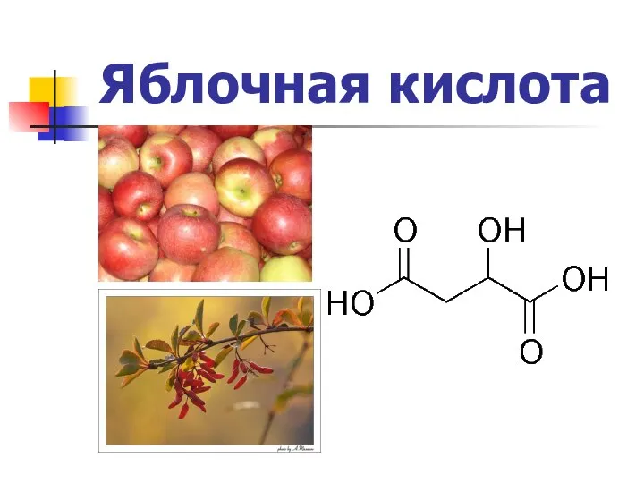 Яблочная кислота