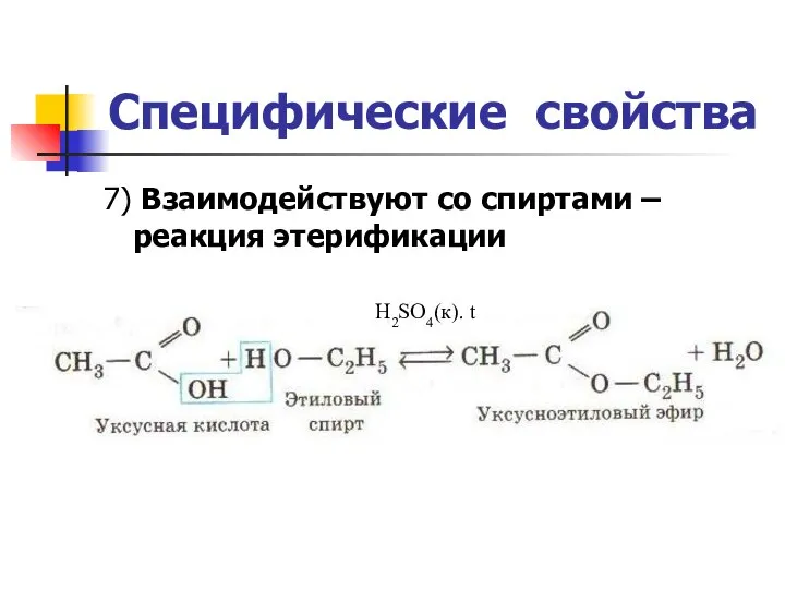 Специфические свойства 7) Взаимодействуют со спиртами –реакция этерификации H2SO4(к). t