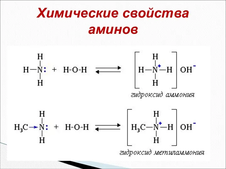 Химические свойства аминов