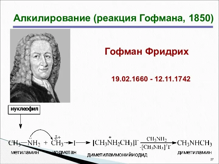 Алкилирование (реакция Гофмана, 1850) 19.02.1660 - 12.11.1742 Гофман Фридрих