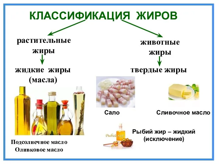 КЛАССИФИКАЦИЯ ЖИРОВ растительные жиры жидкие жиры (масла) Подсолнечное масло Оливковое масло