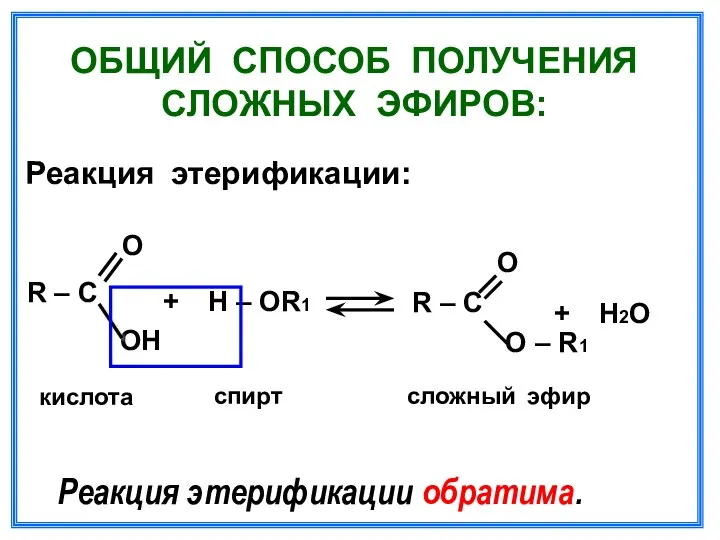 ОБЩИЙ СПОСОБ ПОЛУЧЕНИЯ СЛОЖНЫХ ЭФИРОВ: Реакция этерификации: О R – C