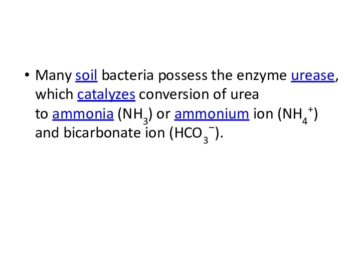 Many soil bacteria possess the enzyme urease, which catalyzes conversion of