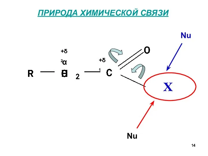 ПРИРОДА ХИМИЧЕСКОЙ СВЯЗИ α +δ1 +δ2 H Nu Nu X