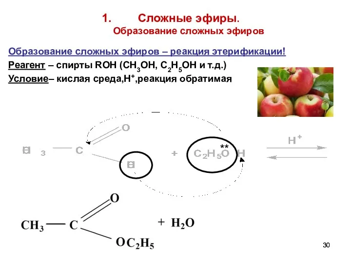 Сложные эфиры. Образование сложных эфиров Образование сложных эфиров – реакция этерификации!