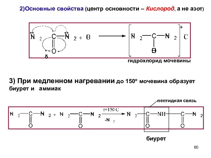 2)Основные свойства (центр основности – Кислород, а не азот) гидрохлорид мочевины