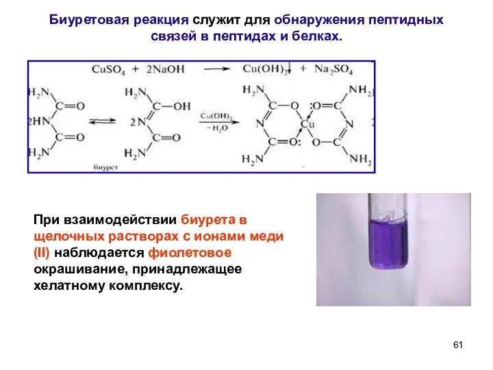Биуретовая реакция служит для обнаружения пептидных связей в пептидах и белках.
